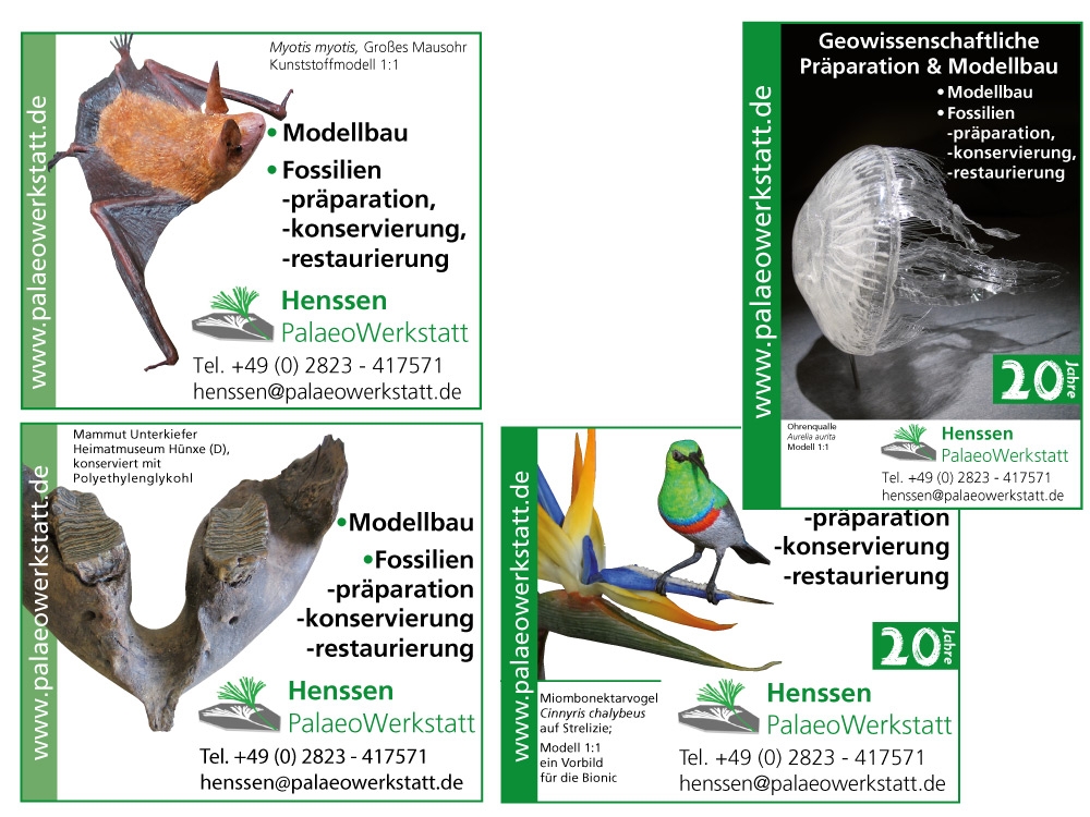 Vielfältig und ansprechend in Print und Web