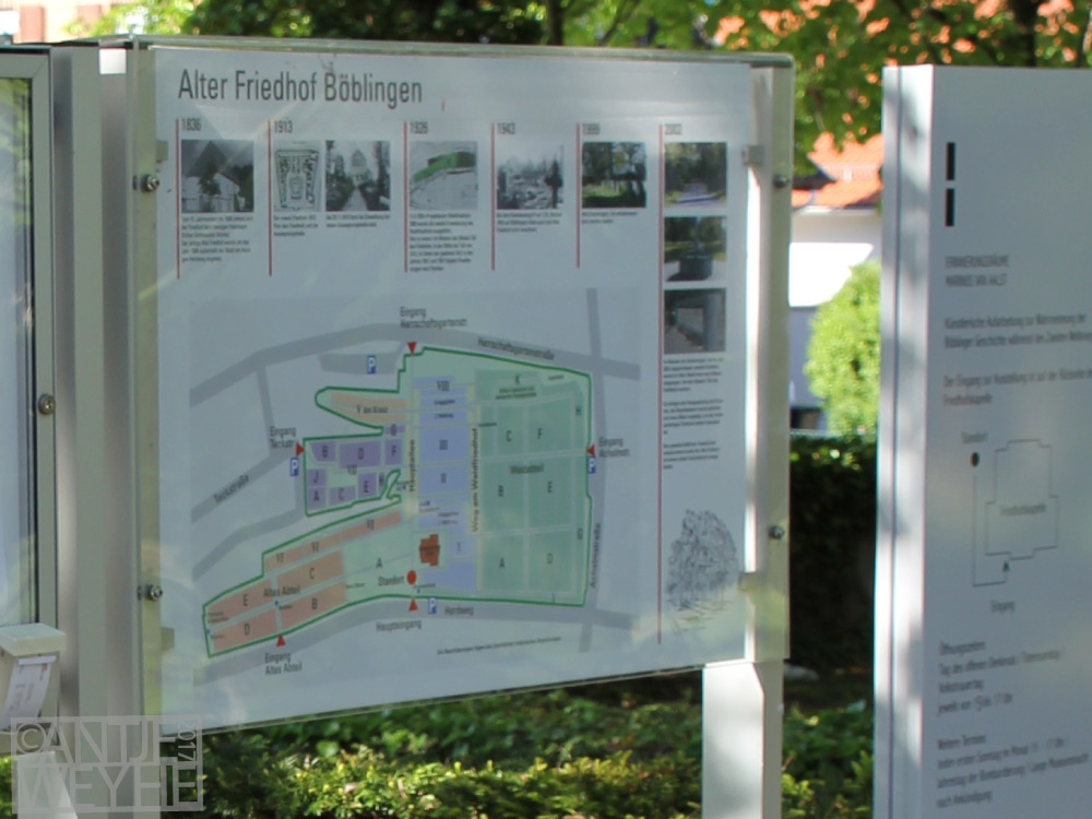 Ob im Stadtbereich oder auf der Wiese attraktiv und verständlich