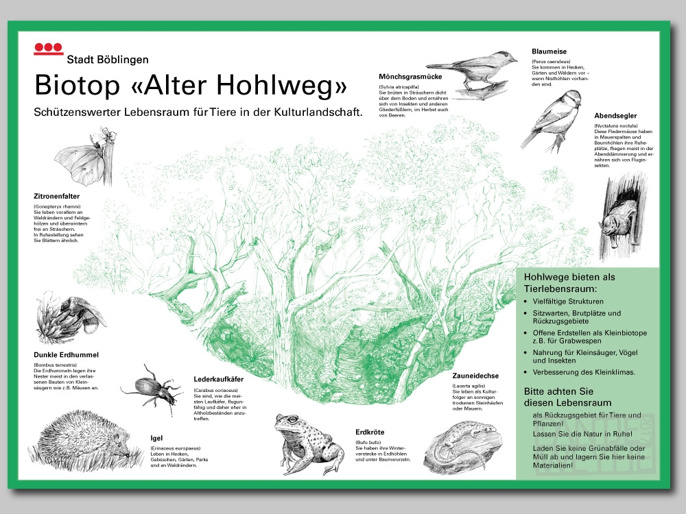 Ob im Stadtbereich oder auf der Wiese attraktiv und verständlich