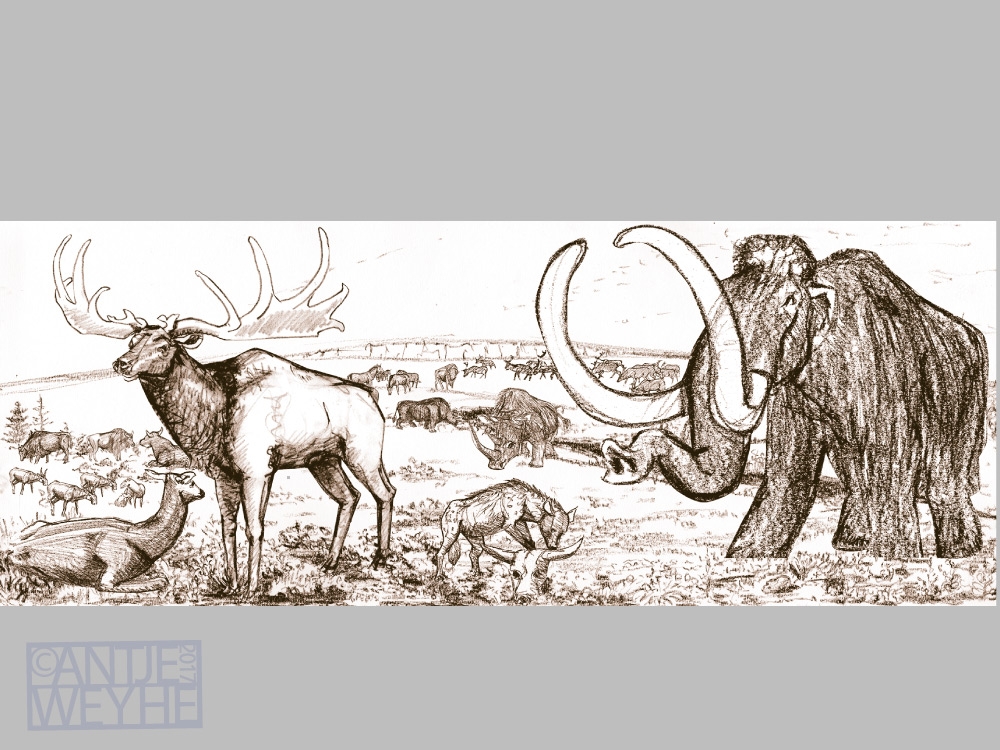 Lebensbild Eiszeit Entwurf zu einer Fossilienausstellung