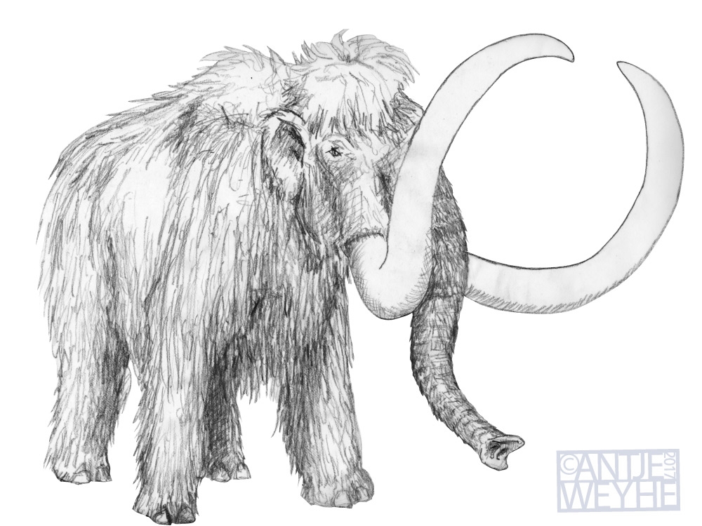 Lebensbild Eiszeit Entwurf zu einer Fossilienausstellung