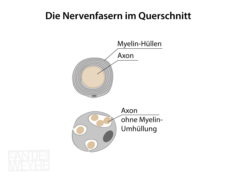 Ansprechende Gestaltung – individuell und durchgängig