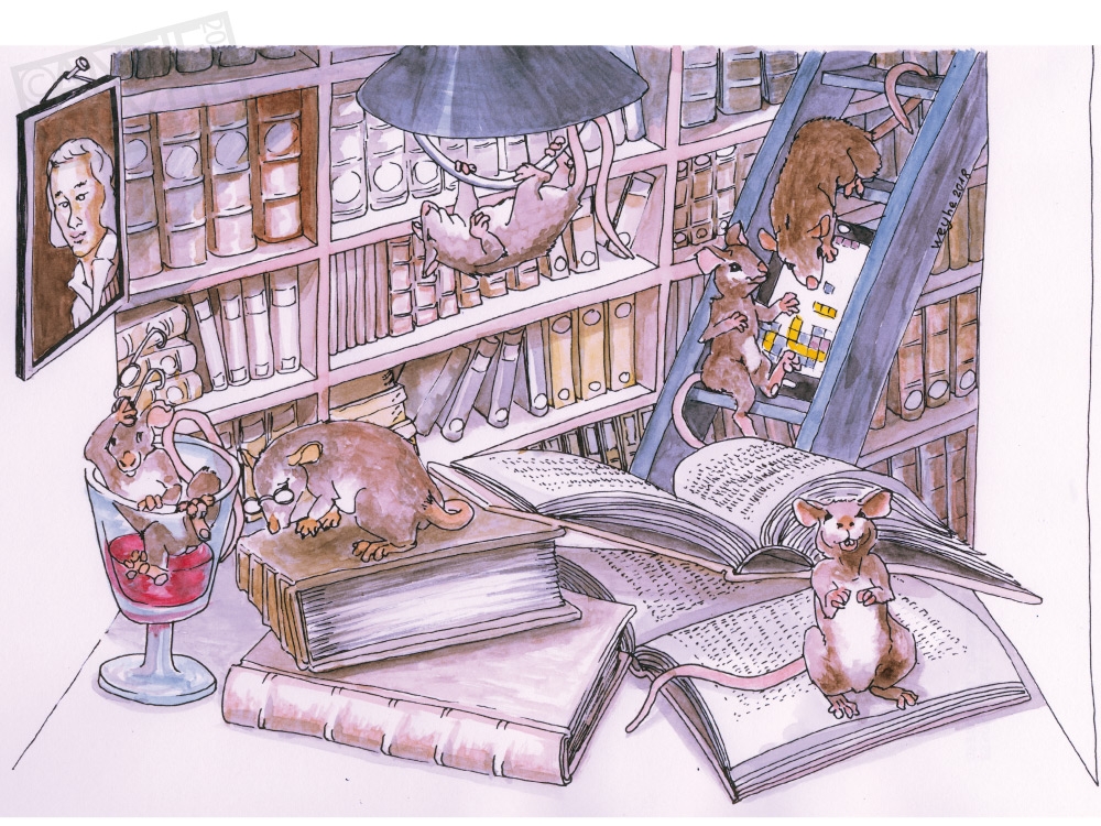 Näher am Leser mit Augenzwinkern – Karikaturen