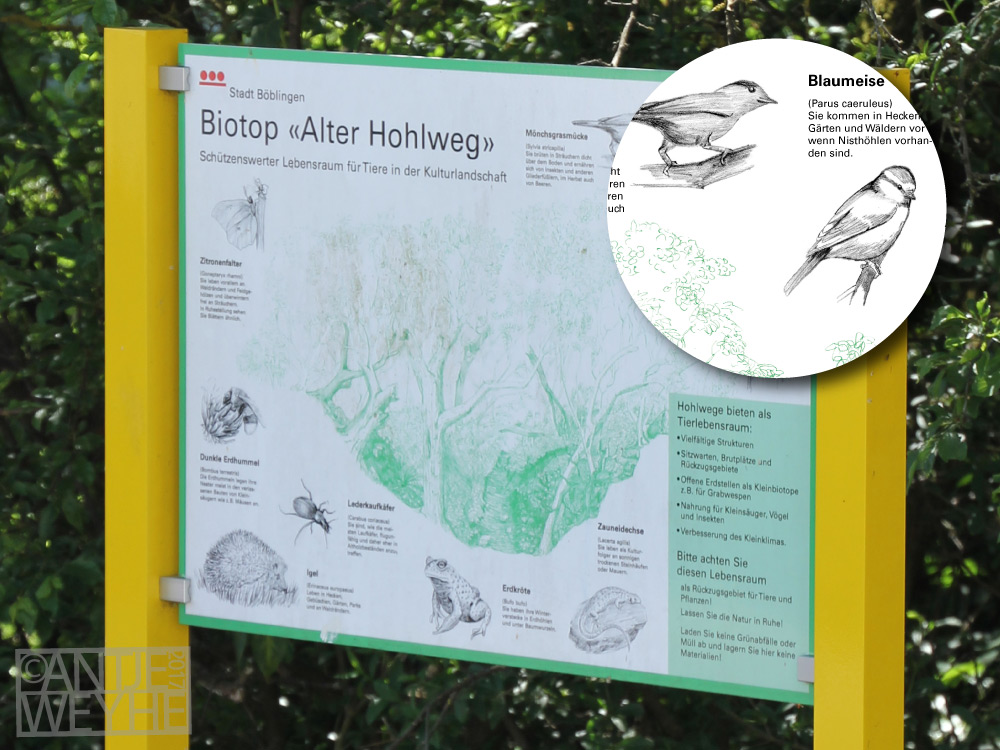 Ob im Stadtbereich oder auf der Wiese attraktiv und verständlich